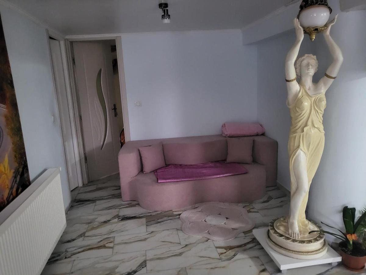 شقة ساتو ماري  في Apartament Cu Terasa Si Gratar المظهر الخارجي الصورة